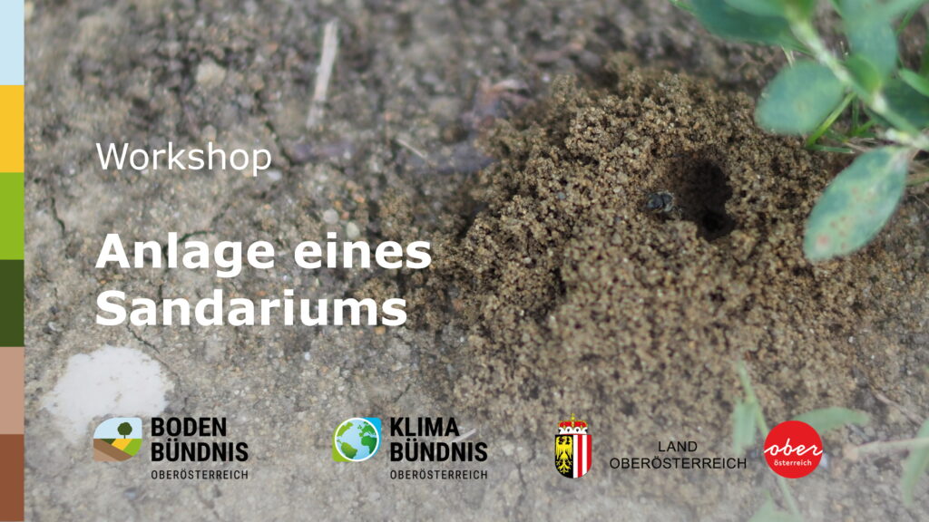 Workshop Sandarium