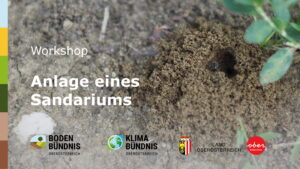 Workshop Sandarium